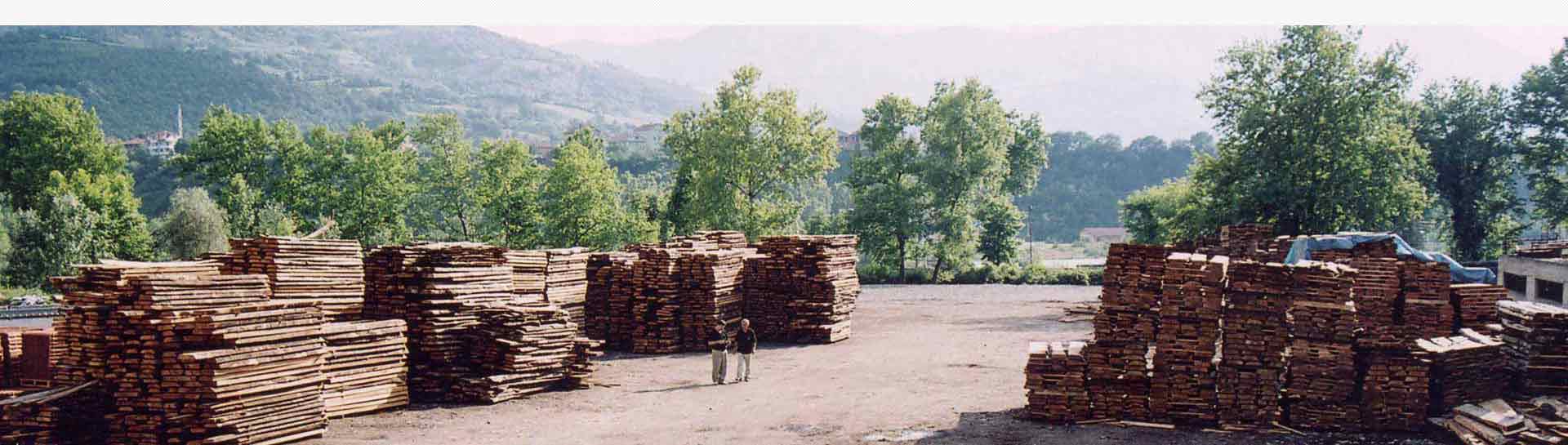 Wooden logs at ASCO Enterprises