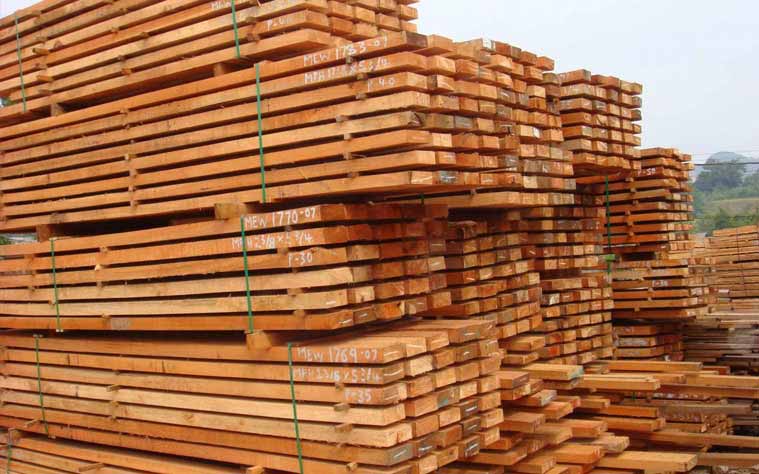  pine logs at ASCO Enterprises